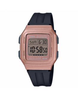 CASIO RETRO F-201WAM-5AVEF
