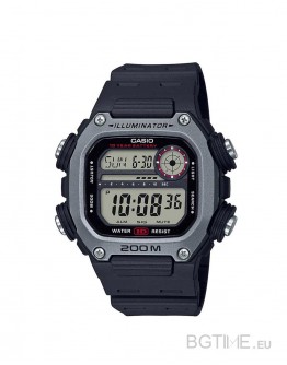 CASIO SPORT DW-291H-1AVEF
