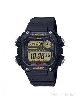 CASIO SPORT DW-291H-9AVEF
