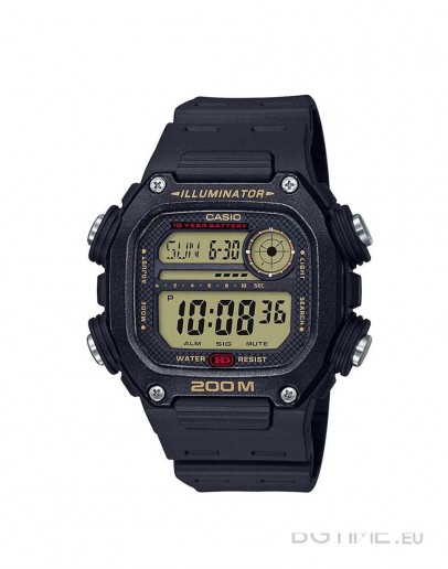 CASIO SPORT DW-291H-9AVEF