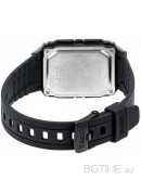 CASIO WAVE CEPTOR