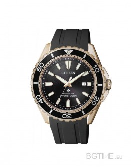 CITIZEN BN0193-17E